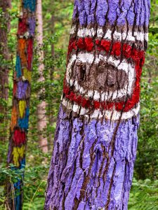 Der Bosque Pintado in Durangaldea, Baskenland, Spanien / © Foto: Georg Berg