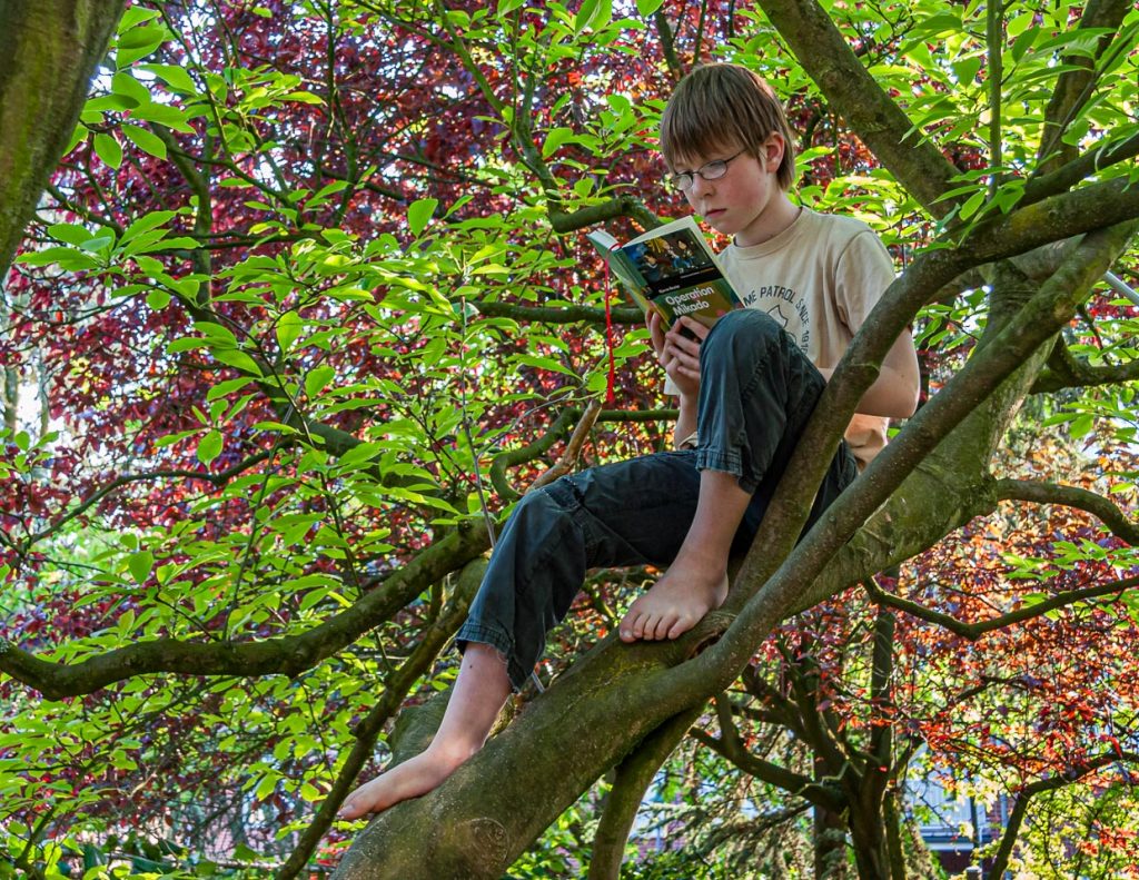 Lesen im Magnolienbaum / © Foto: Georg Berg