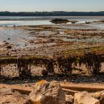 Ein Austerngestell in der Bucht von Pléboulle, Bretagne, Tischkultivierung auf Eisentischen / © Foto: Georg Berg