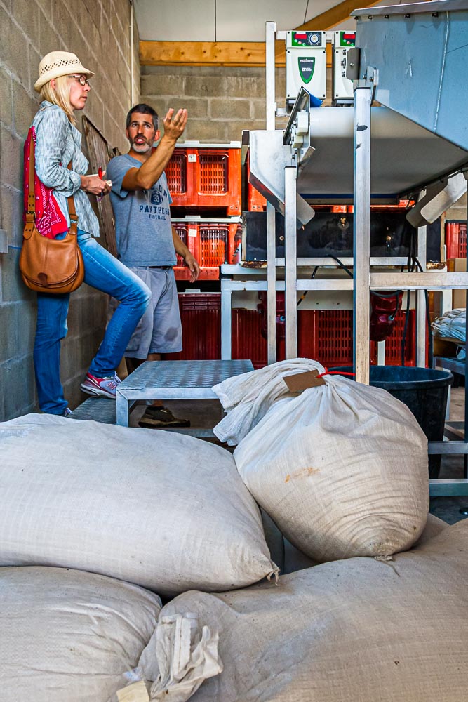 Von Hand werden in der Guérande die schweren Säcke in die Sortiermaschine abgefüllt / © Foto: Georg Berg