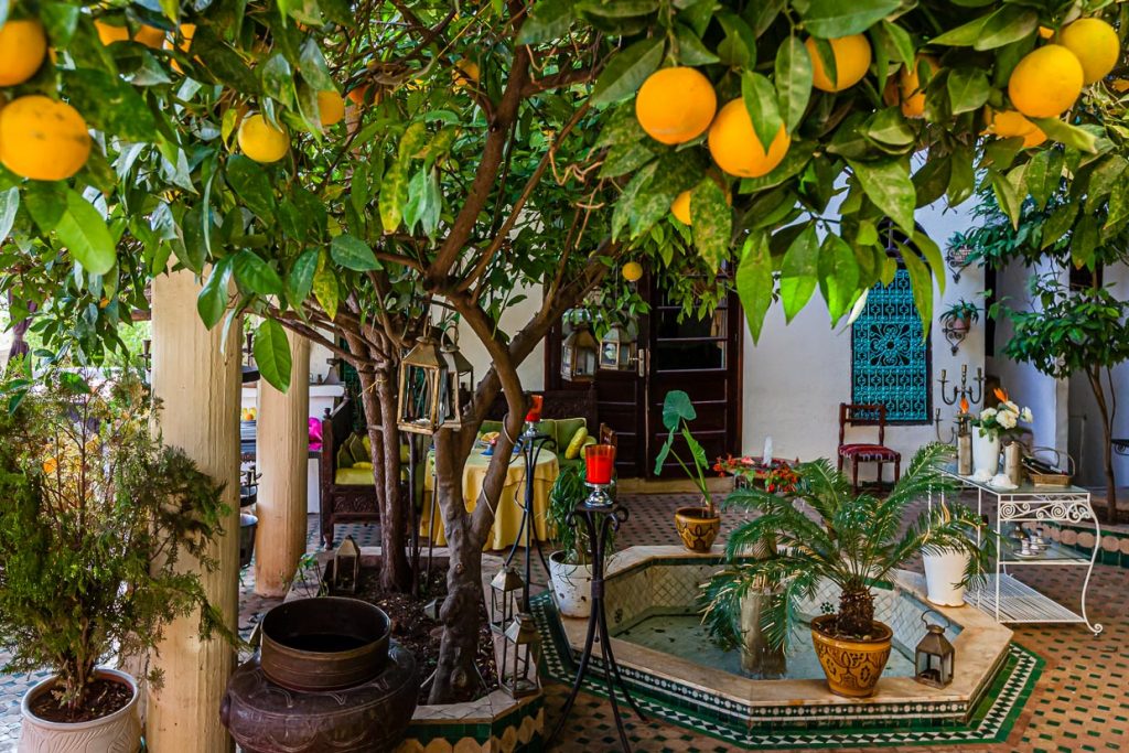 Eine Rezeption gibt es im Riad Arabesque nicht, aber der Innenhof ist eine Oase der Ruhe. Die Anmeldeformalitäten lassen sich bei einem marokkanischen Minztee erledigen / © Foto: Georg Berg