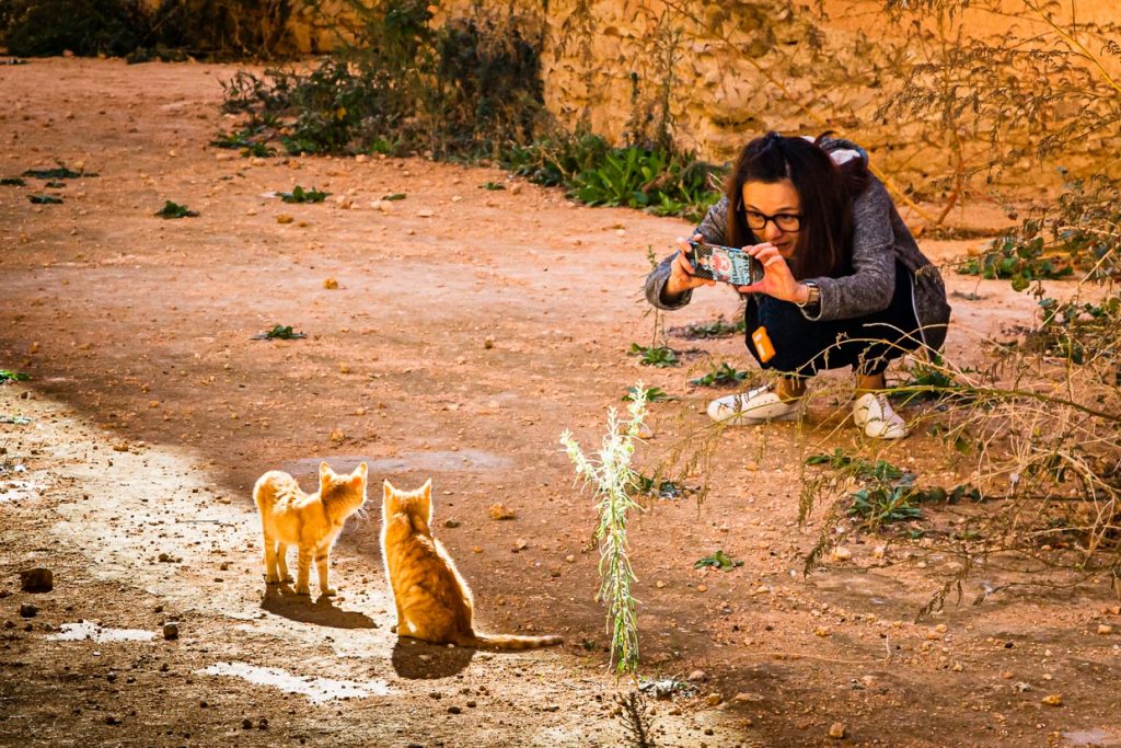 Making-off eines Katzenfotos. Junge Frau macht ein Foto von Katzenbabys in der Altstadt von Meknes, Marokko. Sicherlich wurde auch dieses Katzenfoto anschließend auf Social Media geteilt / © Foto: Georg Berg