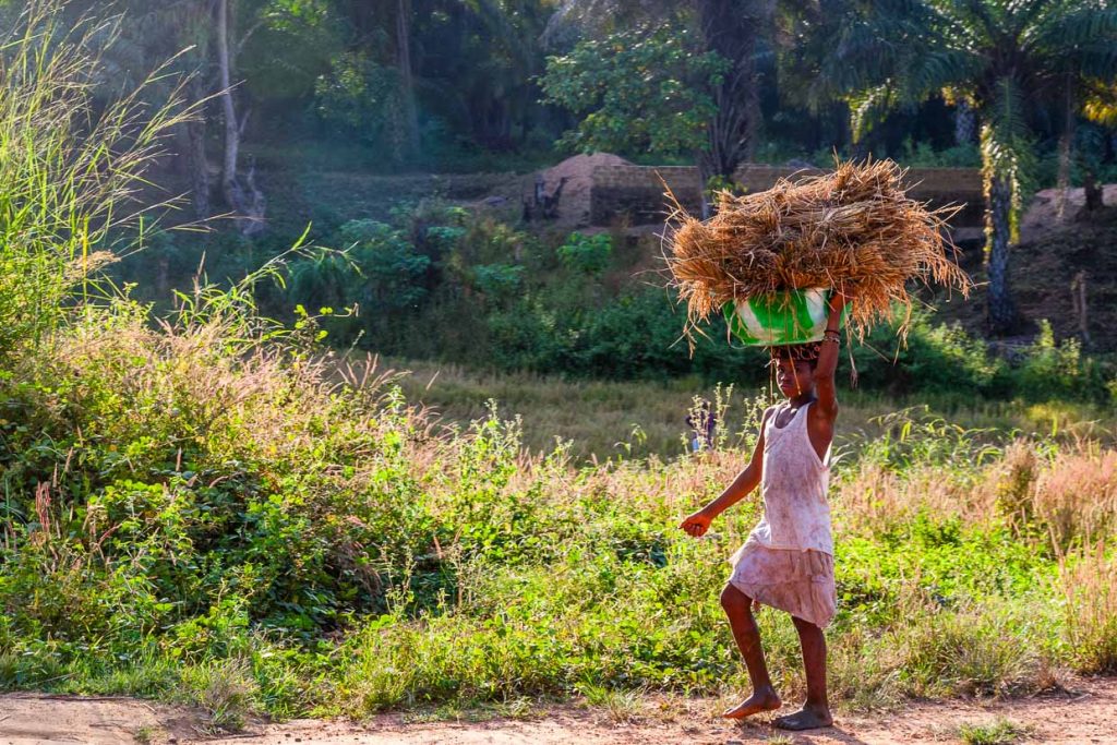 Kinder arbeiten in Sierra Leone mit. Über weite Strecken holen sie zum Beispiel Reis vom Feld / © Foto: Georg Berg