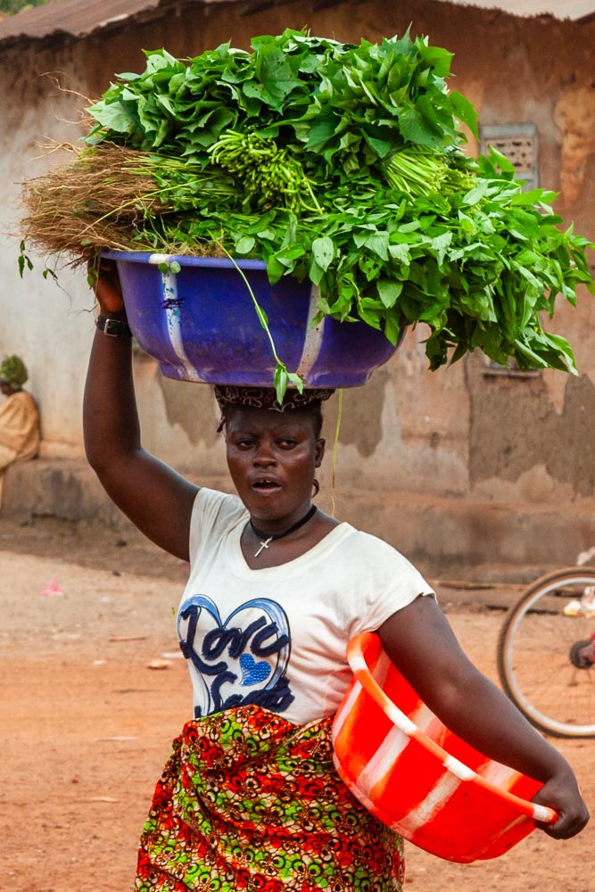 Kasava Blätter in Makeni, Sierra Leone / © Foto: Georg Berg