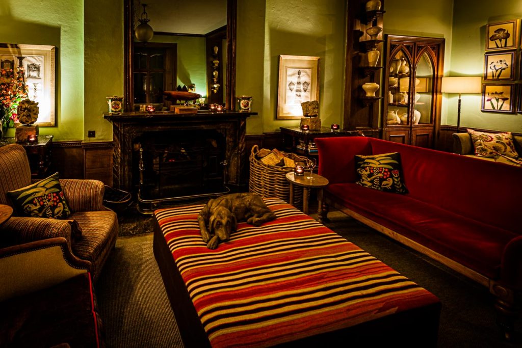 Der Salon mit wunderbaren Sitzgelegenheiten sowie Kamin und dekorativem Hund aus Holz / © Foto: Georg Berg