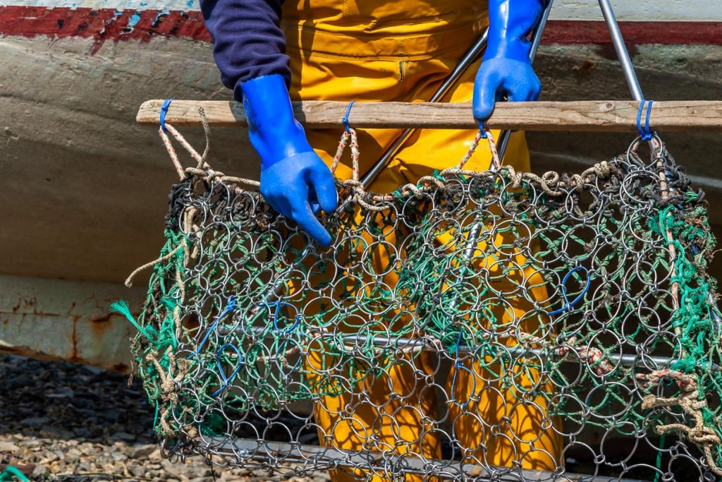 Sammelkorb für wildle Austern, der hinter das Boot gespannt wird / © Foto: Georg Berg