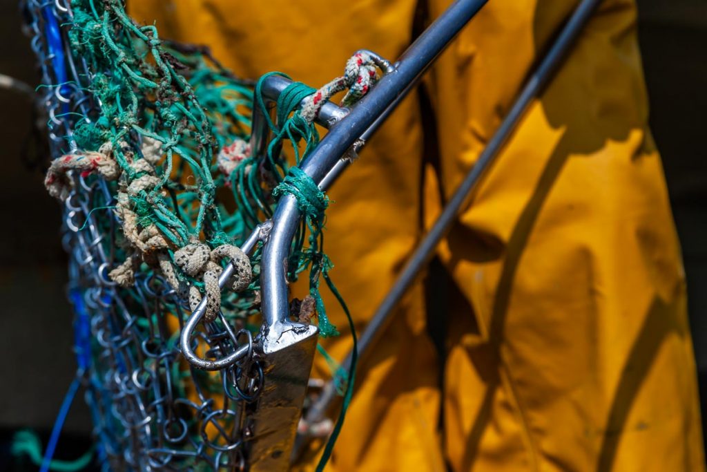 Dieser Fangkorb wird hinter dem Segelboot hergezogen und löst die Austern von ihrem Untergrund / © Foto: Georg Berg