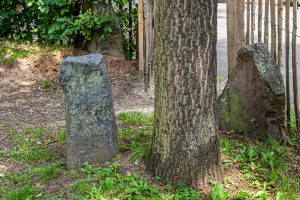 Auch Joseph Beuys wurde 1977 für tendenziell bekloppt gehalten. Er ließ zur documenta 7 fünf Jahre später 7.000 Eichen im Stadtgebiet von Kassel pflanzen und daneben jeweils einen Steinquader platzieren. Heute ist Kassel – auch wegen dieses documenta Projekts von Joseph Beuys grüner und schöner. / © Foto: Georg Berg