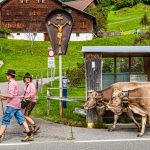 Alpabtrieb in Hittisau. Die Jugend holt das Vieh von der Alm und die schönste Kuh wird geschmückt. Das Wartehäuschen auf diesem Foto bekommt keinen Schönheitspreis – aber in der Nachbargemeinde Krumbach gibt es Bushaltestellen in Weltklasse-Architektur! / © Foto: Georg Berg