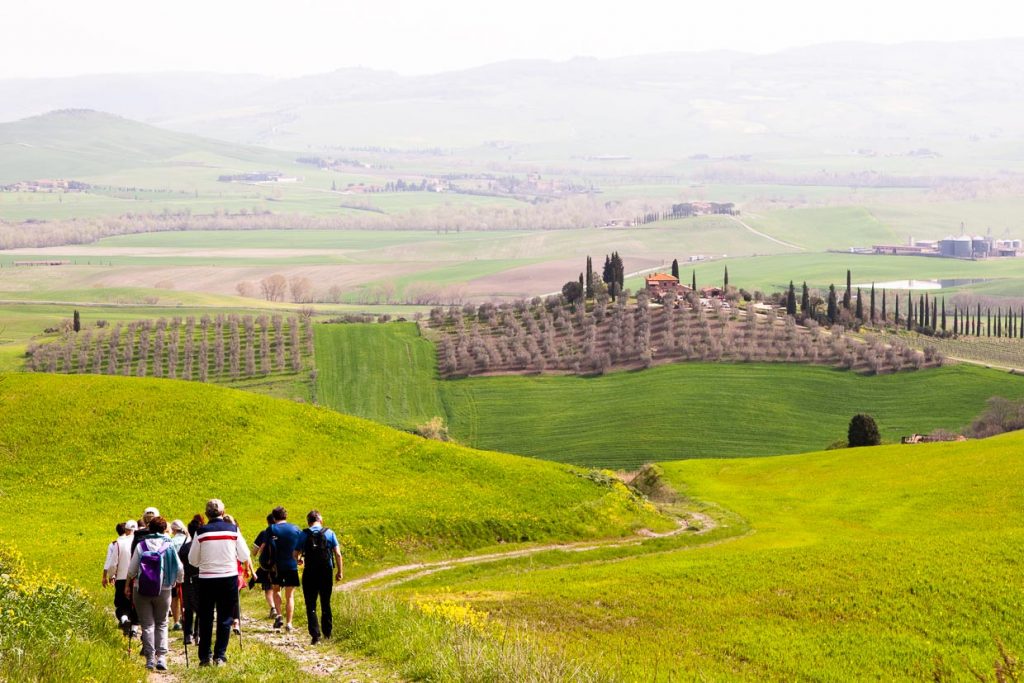 Die Felder noch grün, die Olivenbäume noch braun. Die beste Zeit um Wandern zu gehen / © Foto: Georg Berg