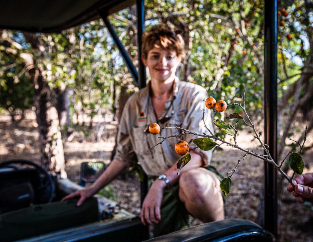 Bei der Buschsafari achtet Emma auf viele kleine Dinge. Hier zeigt sie kleine Früchte, aus denen Strychnin, ein Gift und Dopingmittel, gewonnen werden kann / © Foto: Georg Berg