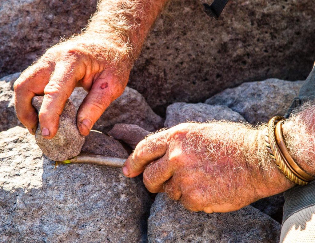Durch Quetschen der Schnittkante mit einem Stein, erhält man einen Pinsel / © Foto: Georg Berg
