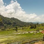 Ein Bauer steht an einer Blechhütte in den Reisfeldern auf der indonesischen Insel Flores / © Foto: Georg Berg