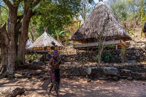 Lumbung Reis-Scheunen auf der Insel Alor in Indonesien / © Foto: Georg Berg