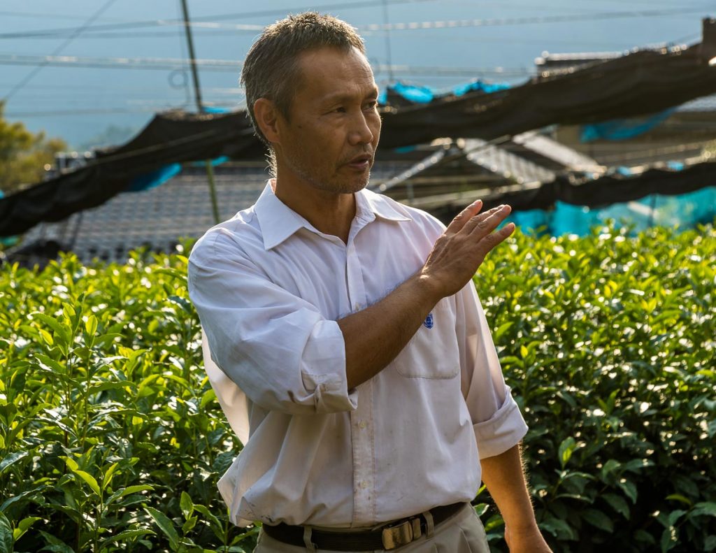 Kiyomi Uchino auf den Teefeldern an seiner Farm. Je nach Wetterlage zieht er Netze über die Teepflanzen. So kann er das Aroma seiner Ernte beeinflussen. Weniger Sonneneinstrahlung bedeutet weniger Bitterkeit und Adstringens / © Foto: Georg Berg