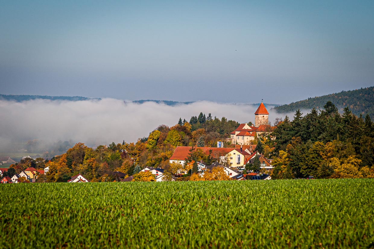 Die grüne Hügellandschaft der Oberpfalz und mitten drin im Morgennebel liegt die Burg Wernberg / © Foto: Georg Berg