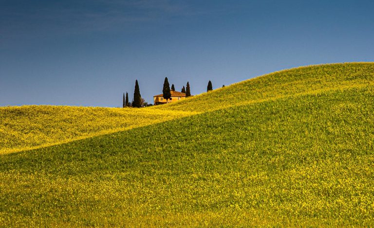 Landhaus in Toscana-Landschaft mit blühendem Rapsfeld / © Foto: Georg Berg