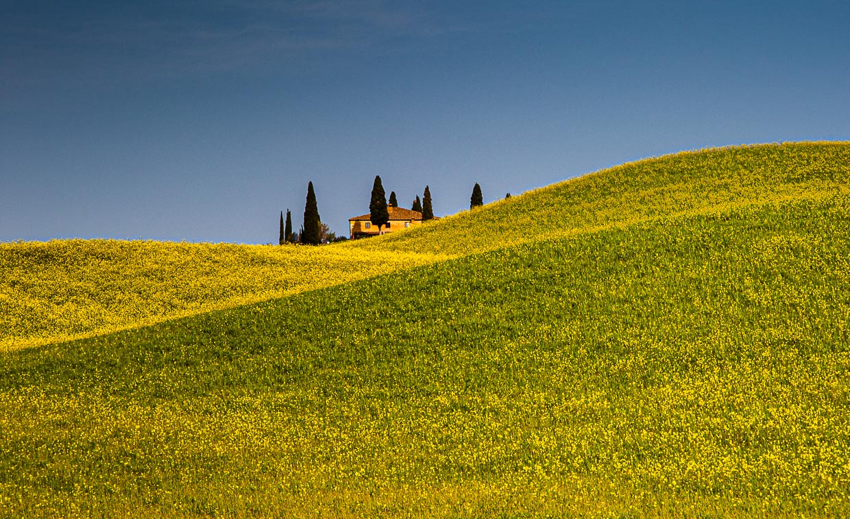 Landhaus in Toscana-Landschaft mit blühendem Rapsfeld / © Foto: Georg Berg