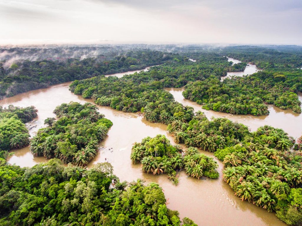 Luftaufnahme des Moa-Flusses in Sierra Leone / © Foto: Georg Berg