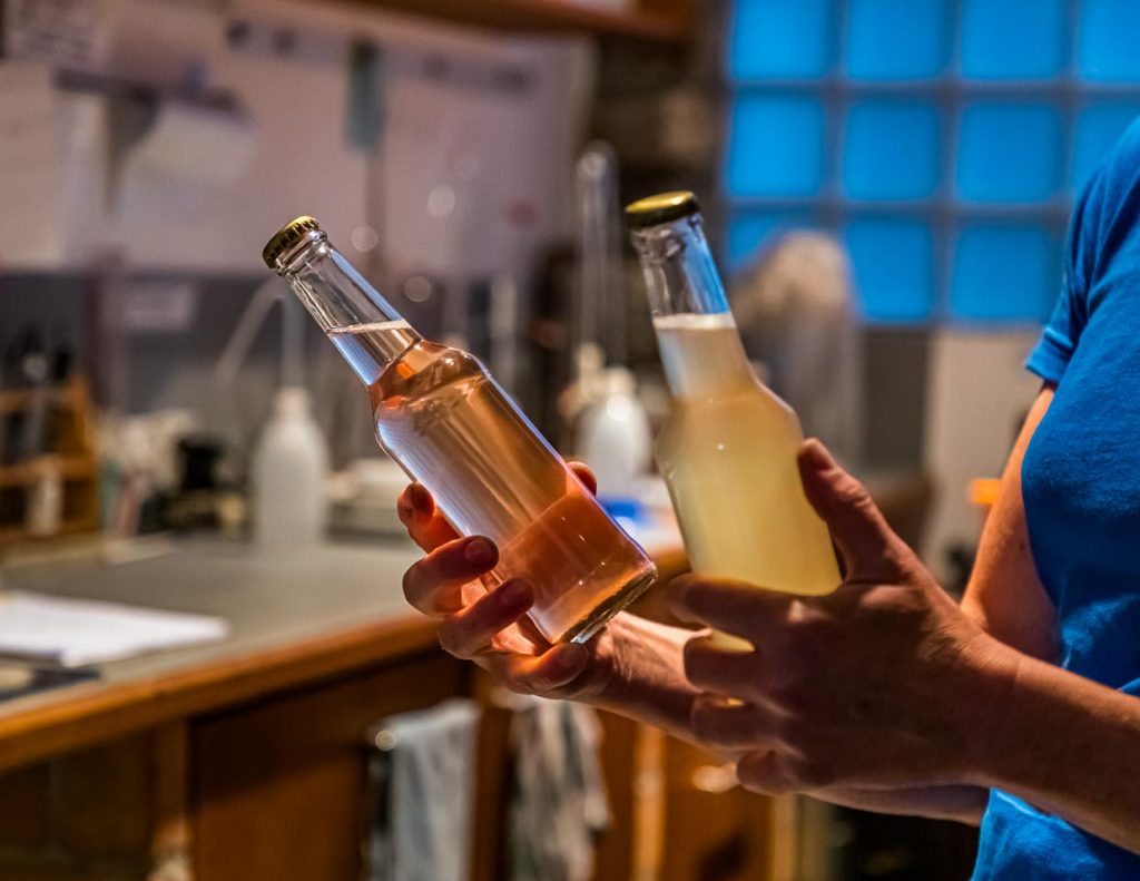 Zeit für Experimente: Hier ein Schaumwein aus ausgepressten Merlot-Trauben in Flaschengärung / © FrontRowSociety.net, Foto: Georg Berg / © Foto: Georg Berg