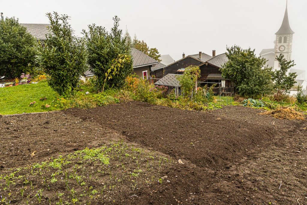 Heute wird wieder mitten im Dorf Safran angebaut / © Foto: Georg Berg