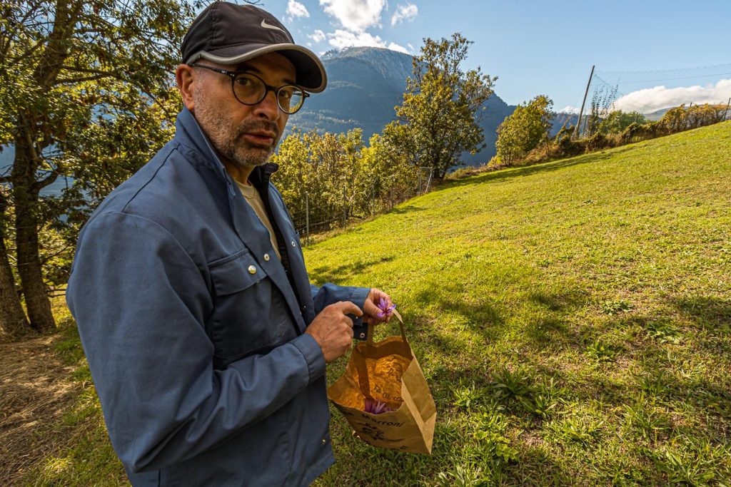 Elmar Pfammatter ist Kantonschemiker und hat gute Erfahrung mit dem Safran-Feld gemacht, das er seit Jahren nicht mehr beackert hat / © Foto: Georg Berg