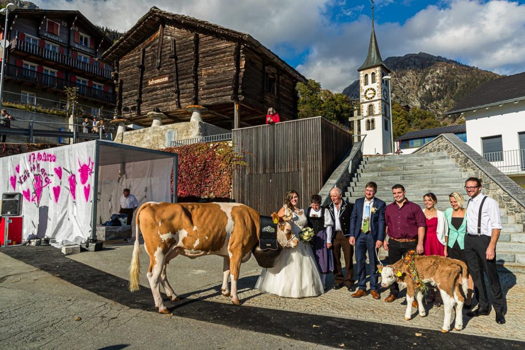 Hochzeit vor dem Safran-Museum. Als Geschenk gibt es ein Kalb und eine Kuh / © Foto: Georg Berg