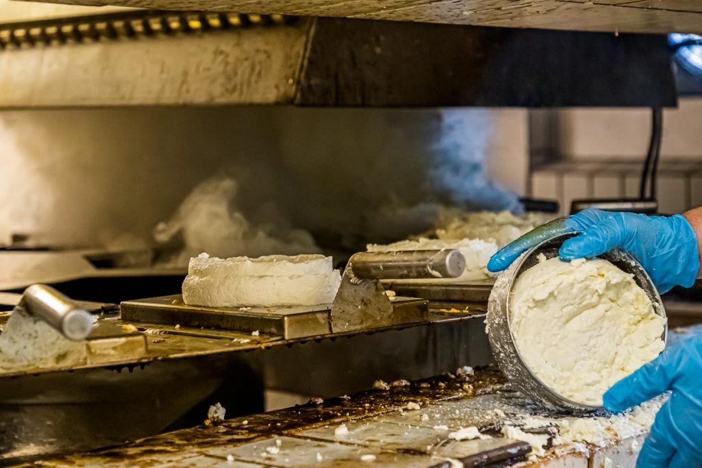 Die Käselaibe vom Morgen werden direkt aus der Ringform auf das Rondell der Räuchermaschine gelegt / © Foto: Georg Berg