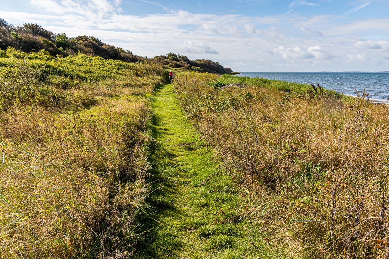 Wanderweg mit Meeresrauschen. Rund 15 Kilometer, der insgesamt 20 Kilometer von Lohals nach Tranekær verlaufen direkt an der Küste / © Foto: Georg Berg