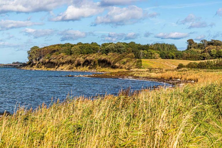 Küstenwanderweg auf der dänischen Insel Langeland / © Foto: Georg Berg