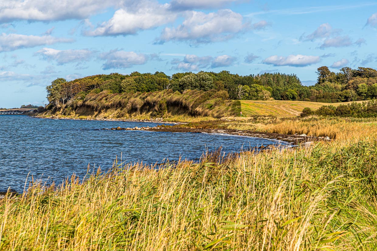 Küstenwanderweg auf der dänischen Insel Langeland / © Foto: Georg Berg