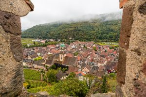 Weinberge, Fachwerk und die Burg kennzeichnen Kaysersberg im Elsass / © Foto: Georg Berg