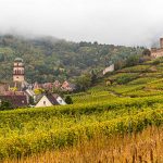 Weinberge und die Burg von Kaysersberg / © Foto: Georg Berg