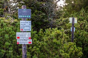 Im Wandergebiet des Ballons des Vosges Naturpark geht es immer den roten Rechtecken nach / © Foto: Georg Berg