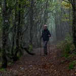 Wanderweg in den Vogesen / © Foto: Georg Berg