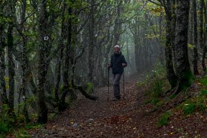 Wanderweg in den Vogesen / © Foto: Georg Berg