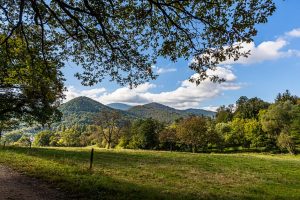 Das Elsass besteht nicht nur als alten Städten und Weinbergen. Die Berglandschaft der Vogesen steht im Mittelpunkt der Wanderungen von Hotel zu Hotel / © Foto: Georg Berg