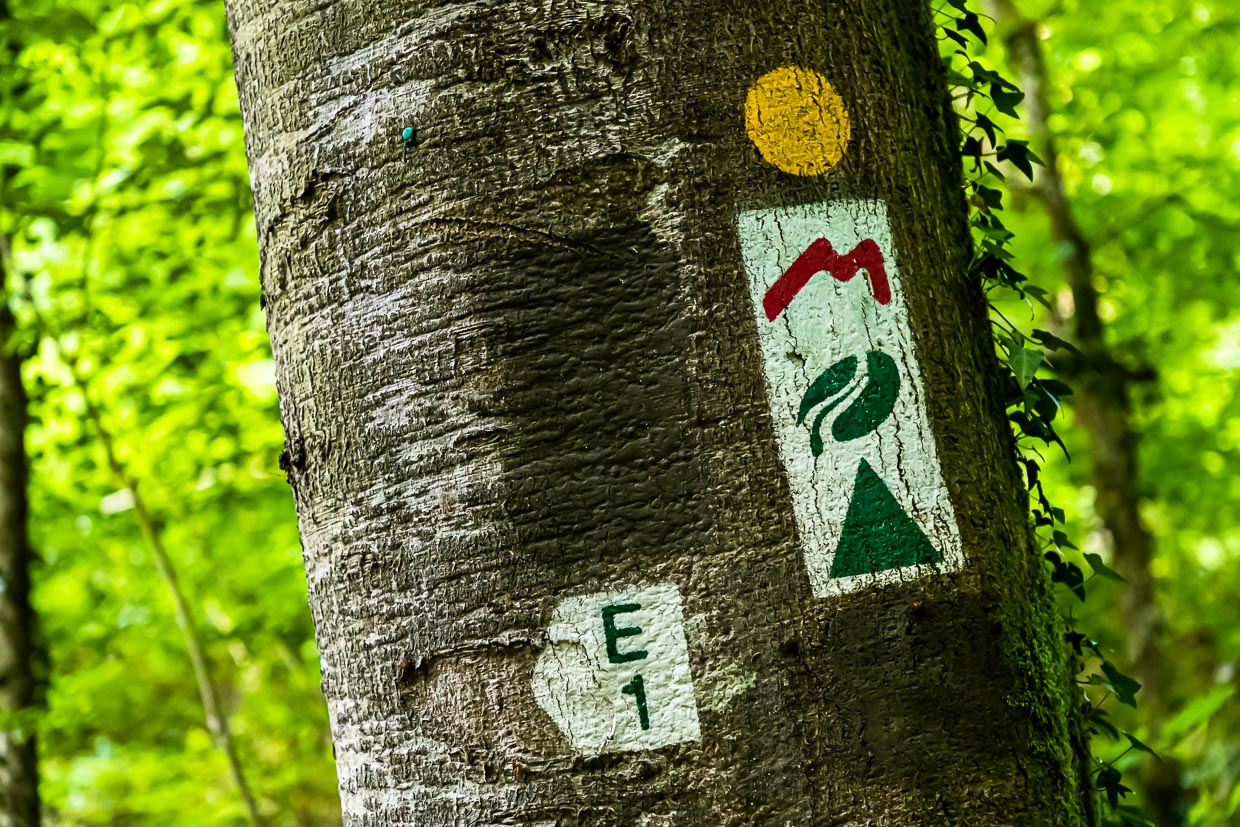 Markierte Wanderwege in Luxemburg / © Foto: Georg Berg