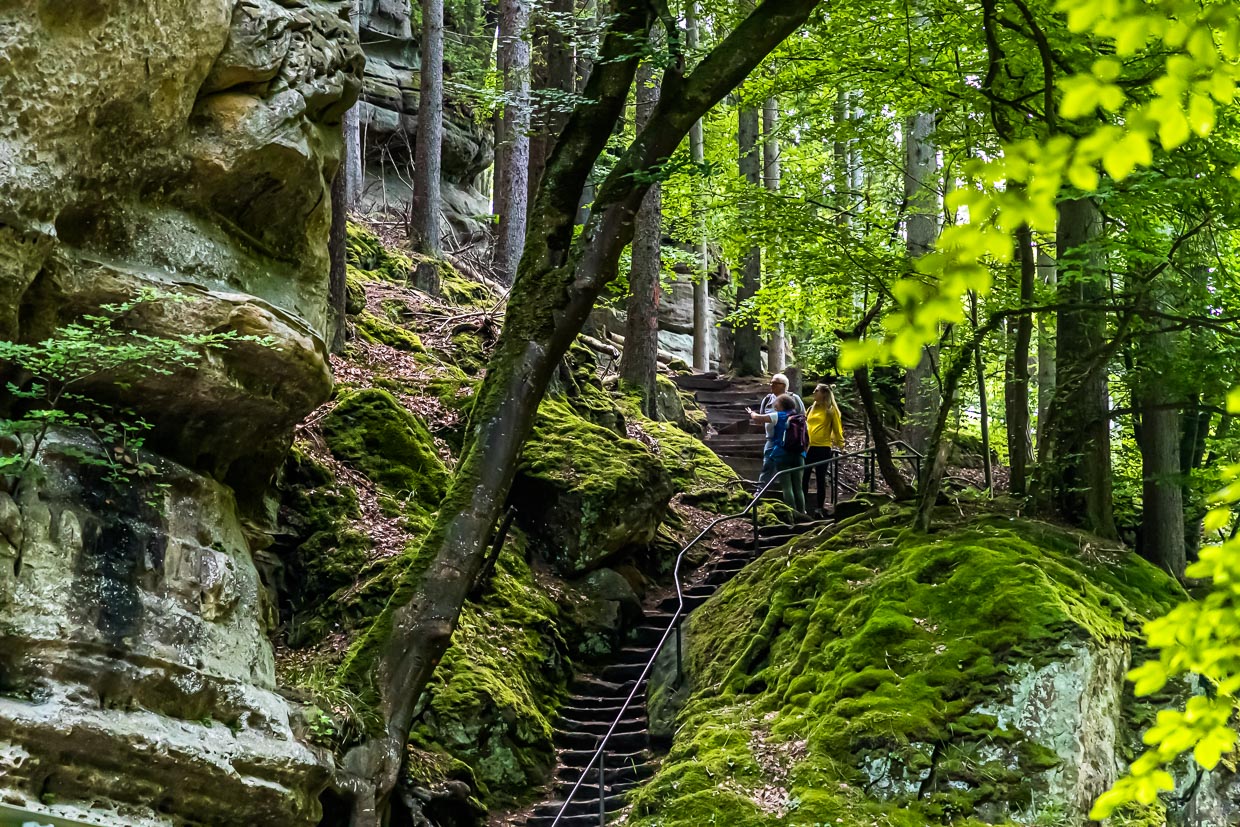 Das Müllerthal ist bekannt für seine Felsformationen aus Sandstein. Die Außentreppe des großen Felsens Perekop. Über eine steile Leiter kann man auch mitten durch den Felsen hindurch gehen / © Foto: Georg Berg