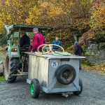 Die Stammwürze auf dem Weg zum Gärkeller. Die Eingänge zu den Zoigl-Felsenkellern verstecken sich heute in der Vegetation der Oberpfalz. / © Foto: Georg Berg