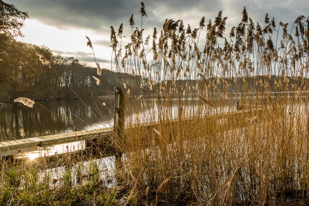 Einer von Tausend: der Finckener See ist der Haussee des Kavaliershaus Schloss Blücher. Mit dem Auto oder dem Fahrrad ist man auch schnell im Nationalpark Müritz mit seinen über 1.000 Seen / © Foto: Georg Berg