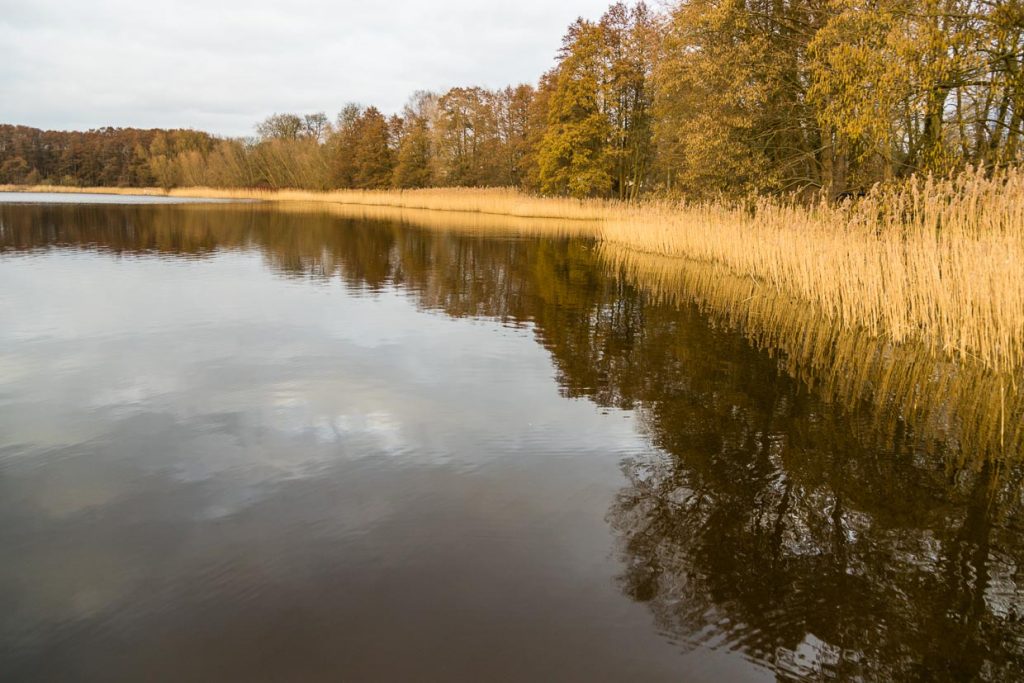 Der Finckener See soll nach den Plänen von Dierck Engel bald nur noch von ökologisch behandelten Feldern umgeben sein / © Foto: Georg Berg