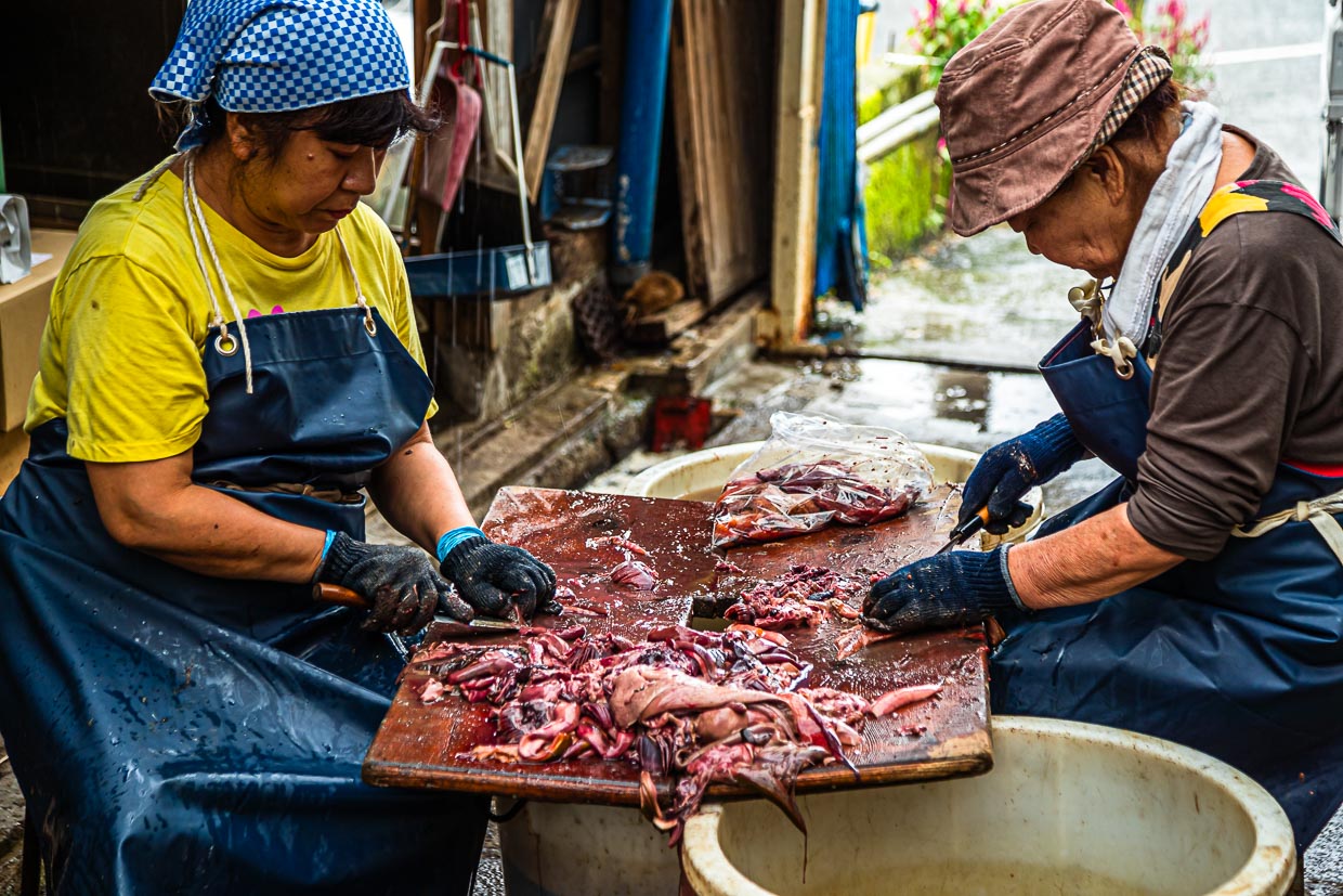 Wirklich alles wird vom Fisch verwertet. Zwei Frauen säubern sogar die Mägen der Fische, damit diese ohne Inhalt zu einer Paste weiterverarbeitet werden können / © Foto: Georg Berg