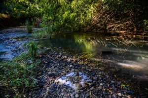 Papierschnitzel aus dem Reiswolf markieren die Spur, auch wenn kein Weg zu erkennen ist. Aber was bedeutet dieses Zeichen? / © Foto: Georg Berg