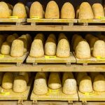 Zincarlin in einem Felsenkeller. Produktion des traditionellen Zincarlin Käses aus dem Muggio Tal im Tessin, Mendrisio. Drei verschiedenen Altersstufen der Tessiner Kästespezialätit werden hier gelagert. Die Käse Zylinder werden fast jeden Tag mit Weißwein abgewaschen