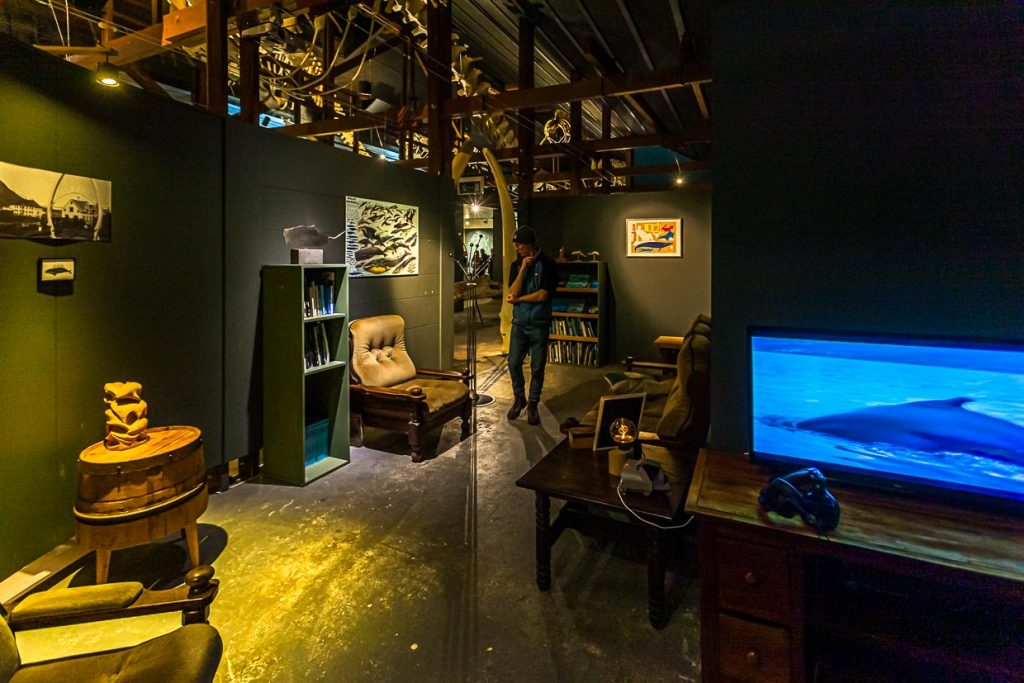 Die Bibliothek des Museums ist wie ein Wohnzimmer eingerichtet, in dem man schmökern und Videos schauen kann / © Foto: Georg Berg