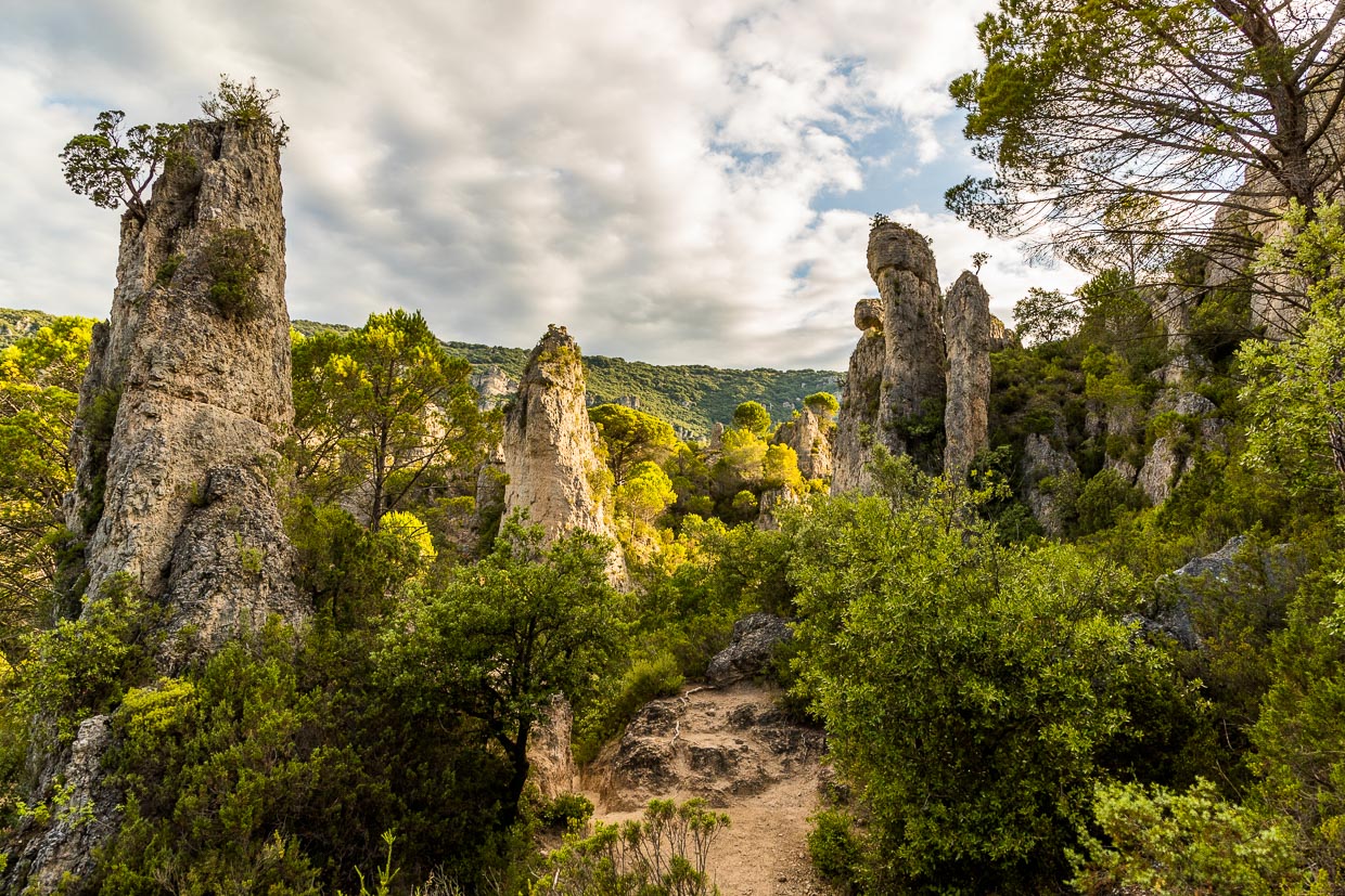 Der Wanderweg führt an Kalksteinsäulen vorbei, die mit ihren Formen die Phantasie auf Reisen schicken / © Foto: Georg Berg