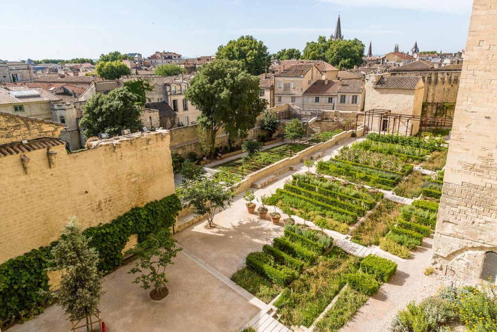 Der Küchen- und Kräutergarten im Papstpalast in Avignon / © Foto: Georg Berg