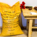 Alle Produkte der Chocolaterie Frigoulettte werden aus den Kakaobohnen von São Tomé hergestellt. Für Firmengründer Bernard Xueref sind es die besten Kakaobohnen der Welt. Sie stammen von einer Premiere-Grand-Cru Plantage und sind biozertifiziert. Transparenz, Respekt vor der Natur und eine enge und persönlicheh Zusammenarbeit mit dem Partner Kafka sind Bernard Xueref wichtig / © Foto: Georg Berg