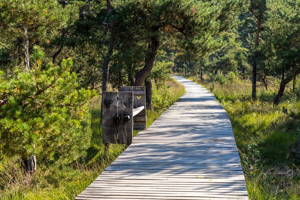 Der Bohlenpfad im Naturgebiet Koematenveld ist Teil des Umfassungswegs, der im Jahr 1890 vom deutschen Landschaftsarchitekten Petzold  angelegt wurde / © Foto: Georg Berg